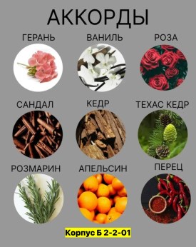 1000 мелочей