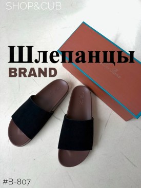 Сланцы