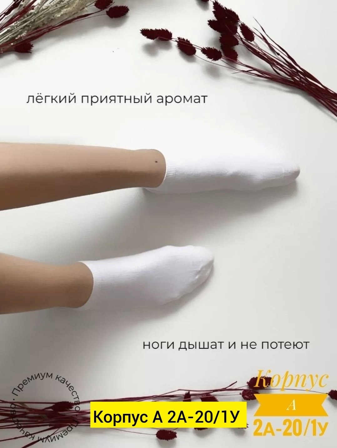 носки короткие хлопок набор 10 пар,носки короткие хлопок набор,носки turkan женские 10 пар,носки короткие набор 10 пар туркан,носки короткие белые набор 10 пар