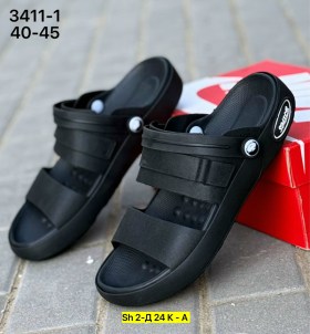 Сланцы