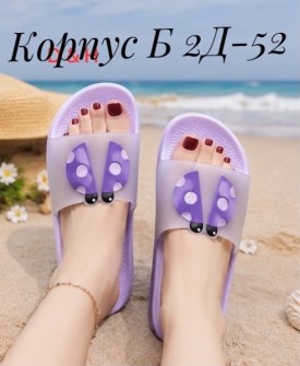 Сланцы