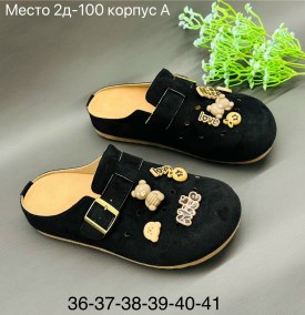 Сланцы