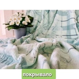 Одежда