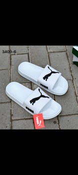 Сланцы