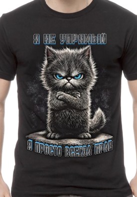 Футболка