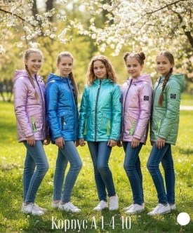 Верхняя одежда