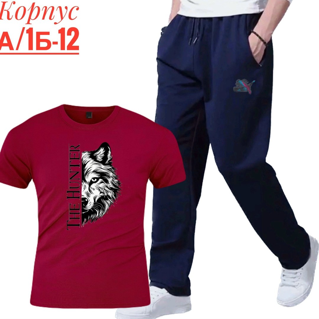 костюм спортивный мужской,костюм мужской,костюм двойка мужской,костюм для мужчин,спортивные костюмы
