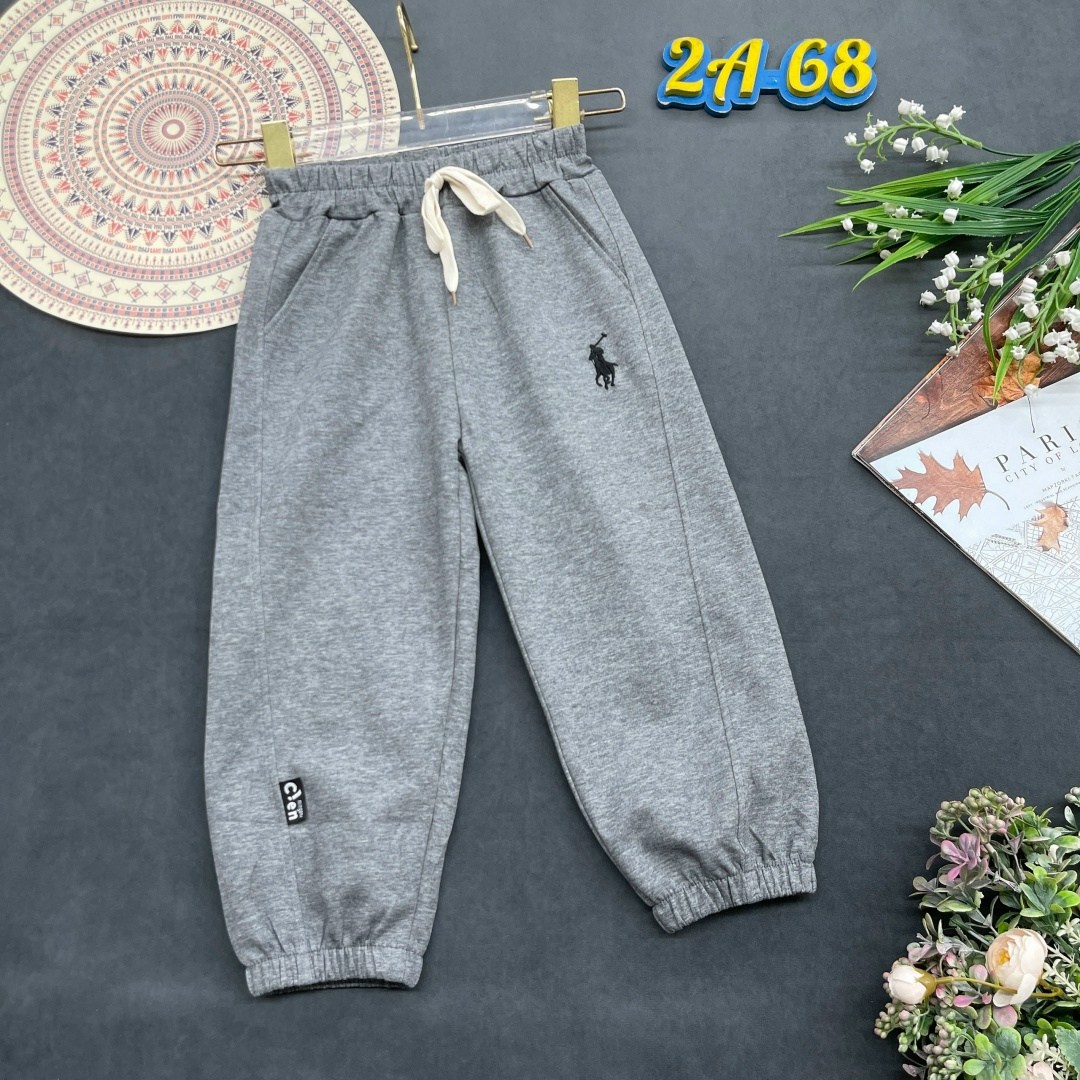 брюки спортивные polo ralph lauren мужской,polo ralph lauren штаны,спортивные брюки мужские,спортивные штаны,спортивные брюки