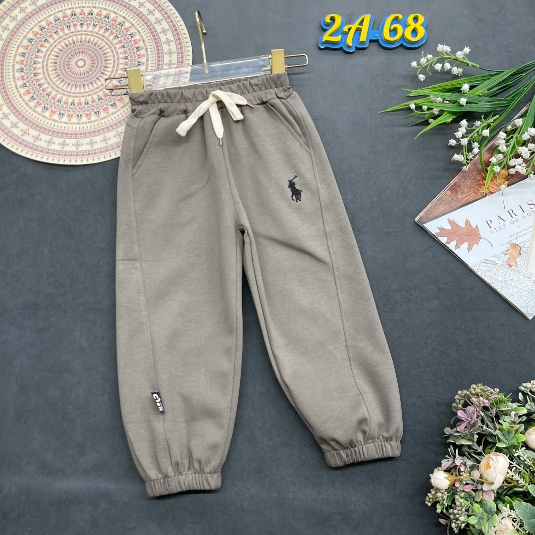 брюки спортивные polo ralph lauren мужской,polo ralph lauren штаны,спортивные брюки мужские,спортивные штаны,спортивные брюки