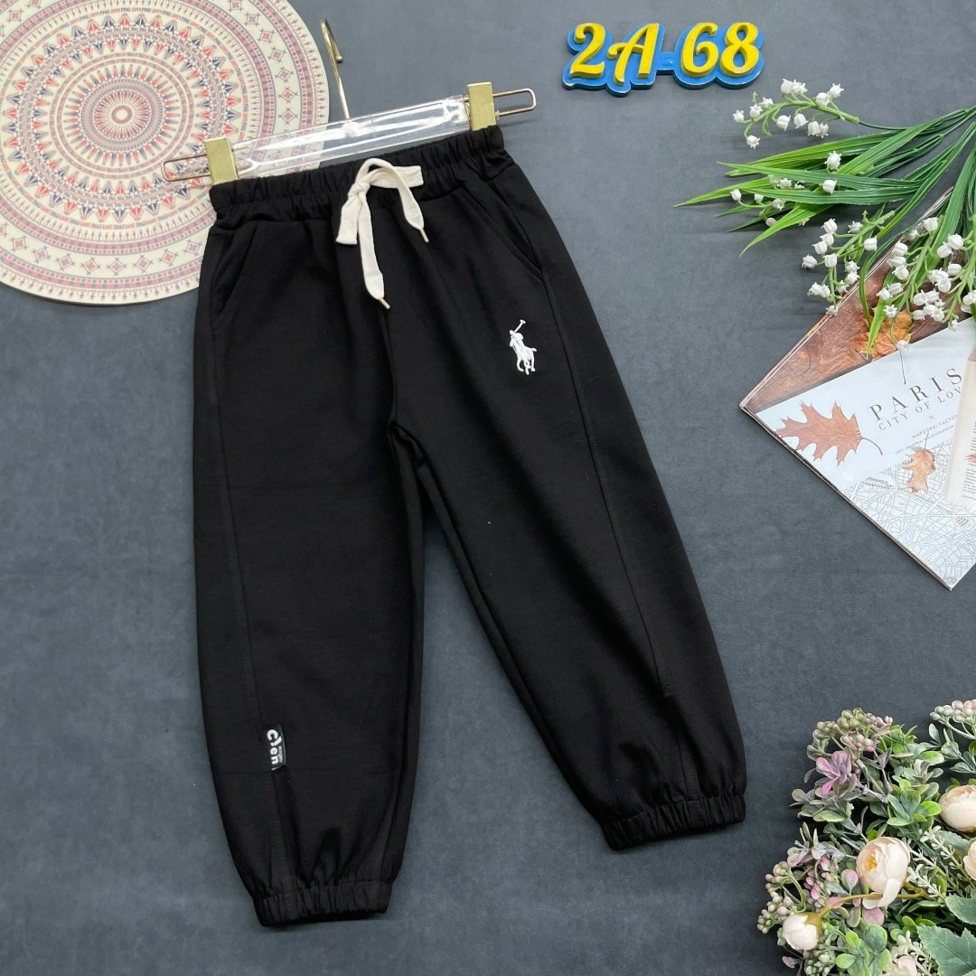 брюки спортивные polo ralph lauren мужской,polo ralph lauren штаны,спортивные брюки мужские,спортивные штаны,спортивные брюки