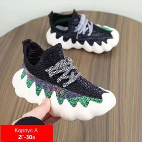 Одежда