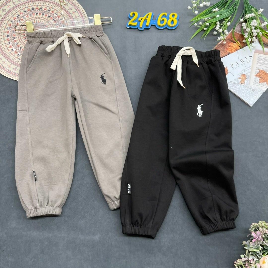 брюки спортивные polo ralph lauren мужской,polo ralph lauren штаны,спортивные брюки мужские,спортивные штаны,спортивные брюки