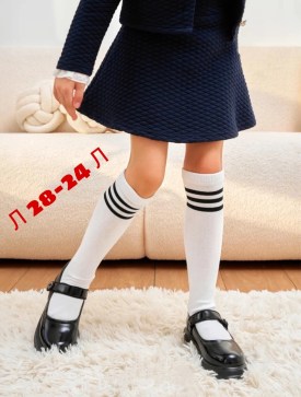 Одежда