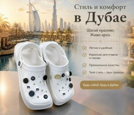 Одежда