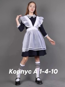 Одежда