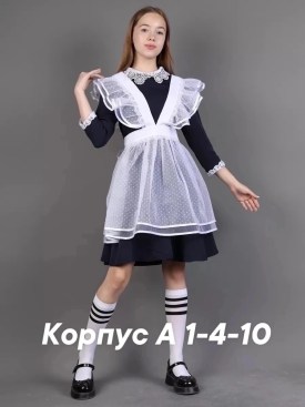 Одежда