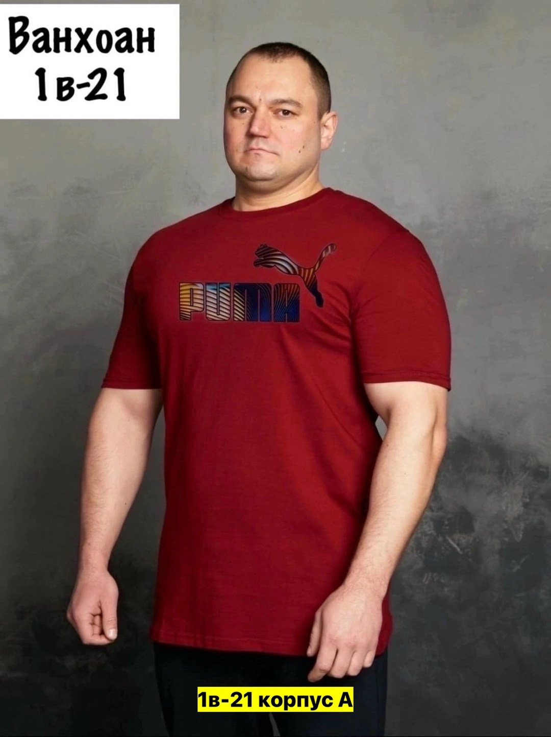 мужские футболки fila,футболка,мужская футболка великан,футболки мужские,футболка fila