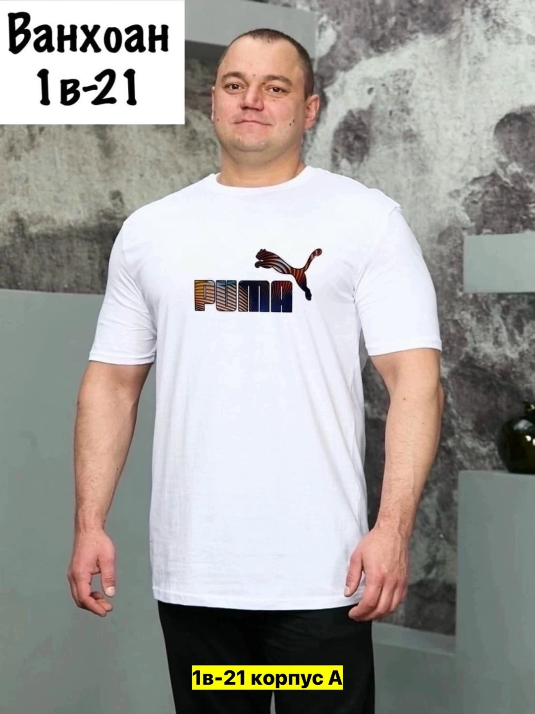 мужские футболки fila,футболка,мужская футболка великан,футболки мужские,футболка fila
