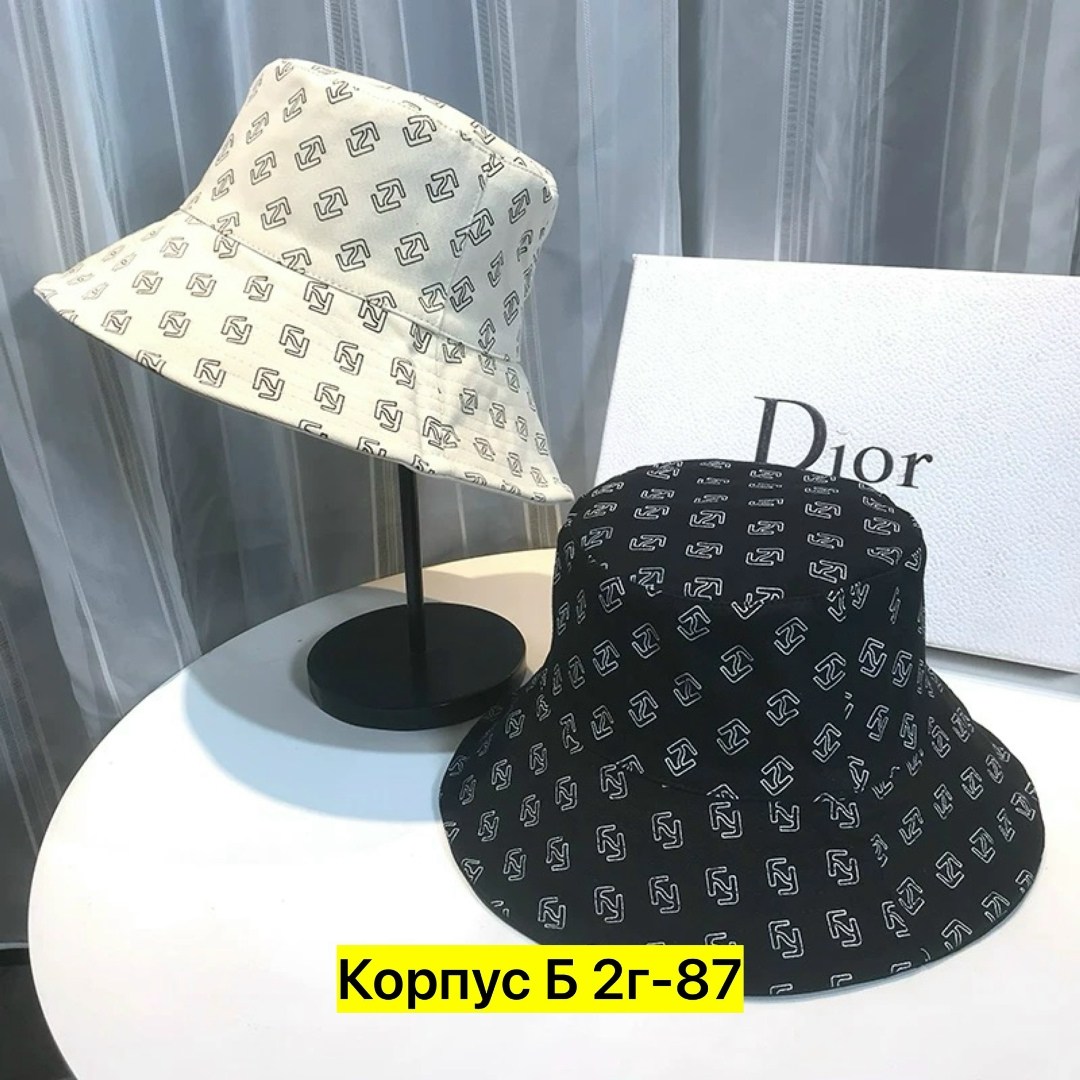 панама диор,панамка кристиан диор,модная шляпа,шляпа женская,летняя панама