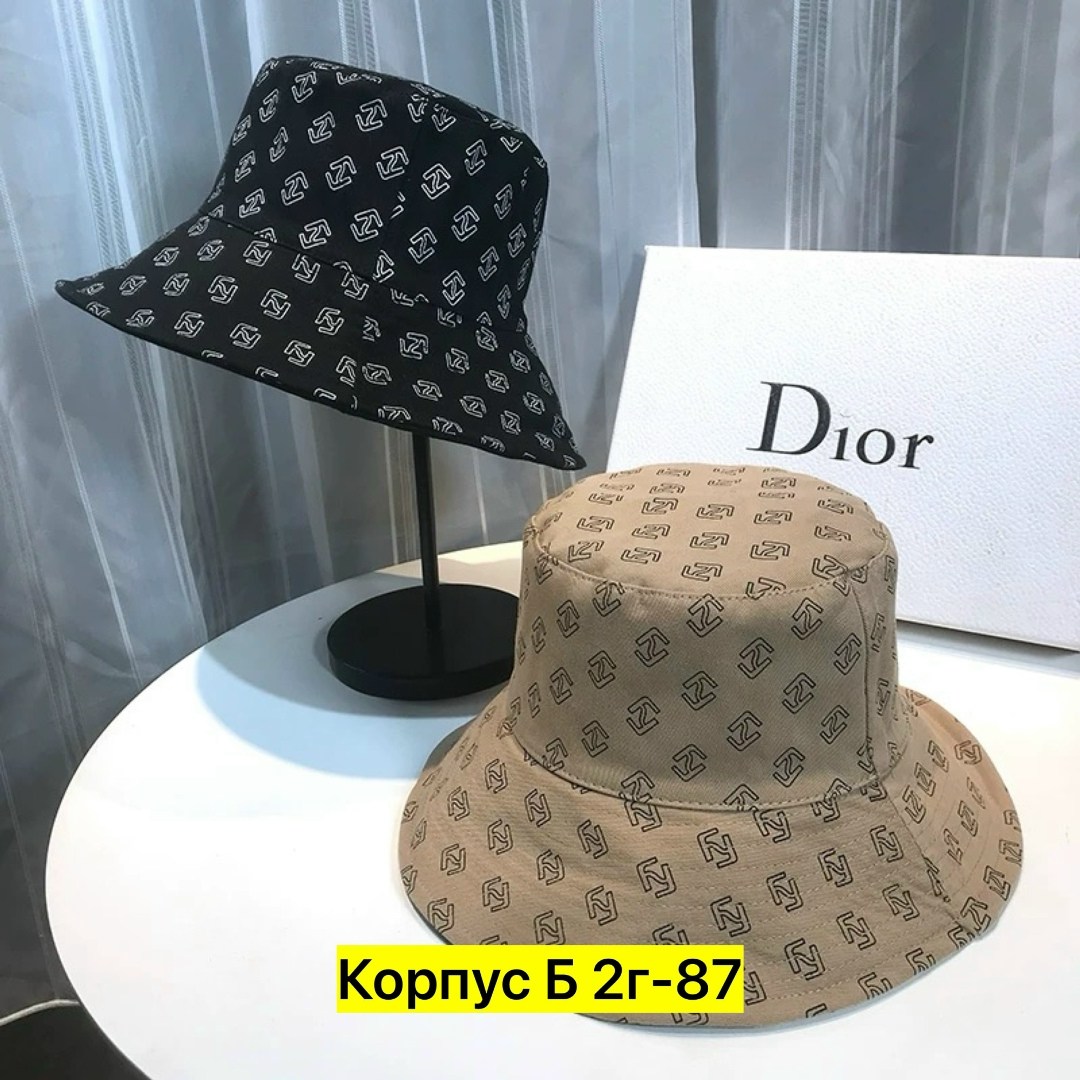 панама диор,панамка кристиан диор,модная шляпа,шляпа женская,летняя панама