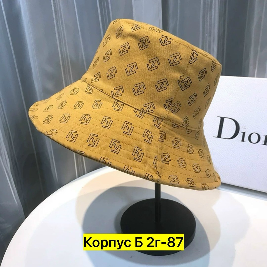 панама диор,панамка кристиан диор,модная шляпа,шляпа женская,летняя панама