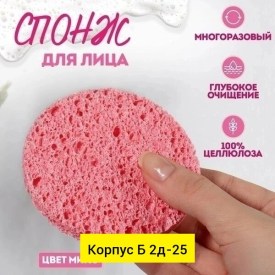 Одежда