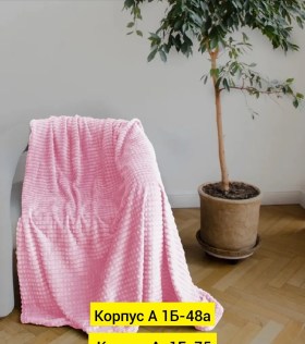 Одежда