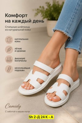 Сланцы