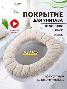 Одежда