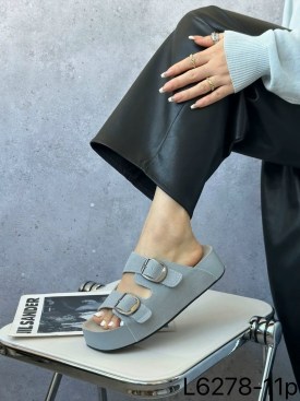 Сланцы