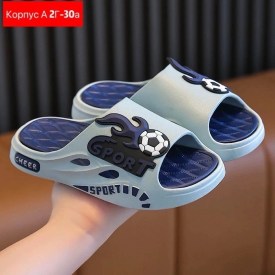 Сланцы
