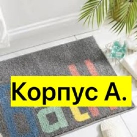 Одежда