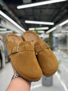 Сланцы