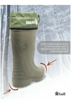 Одежда