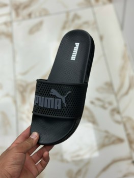 Сланцы