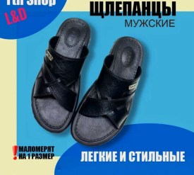 Сланцы