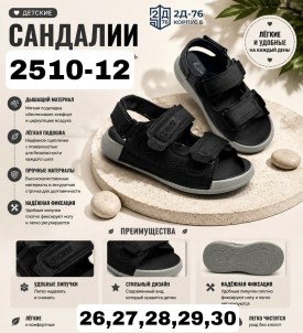Одежда