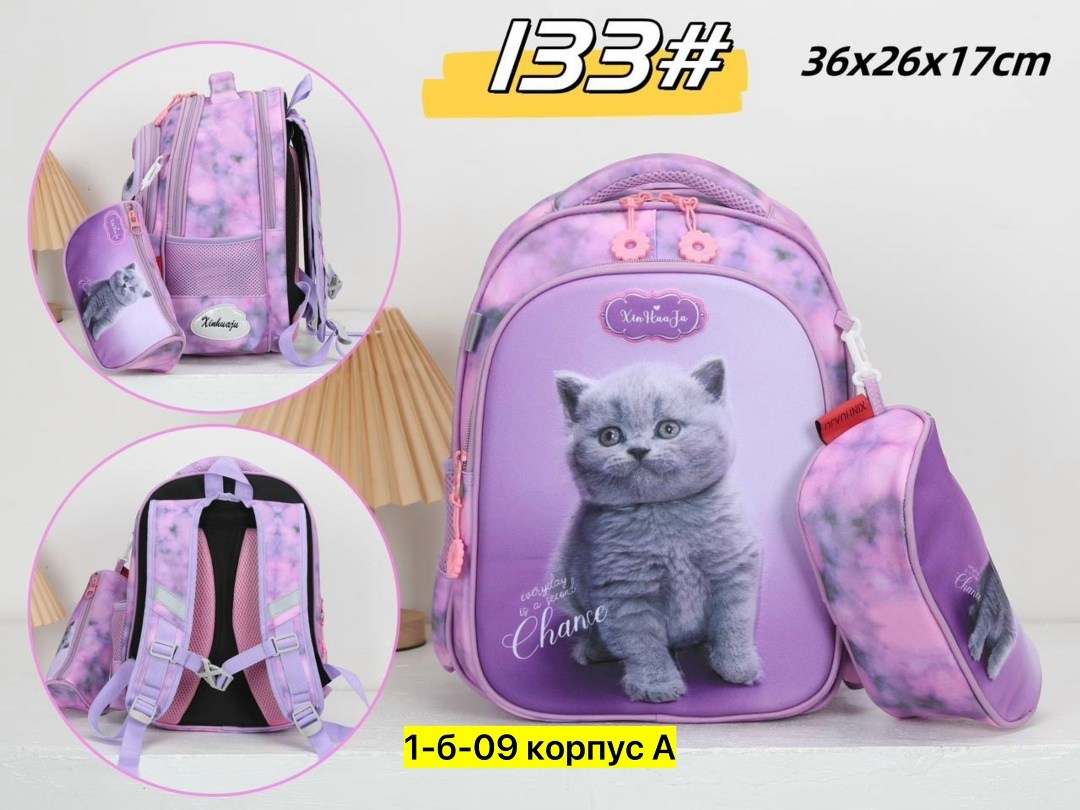 школьные рюкзаки,рюкзак школьный ортопедический,школьные рюкзаки для девочек,рюкзак для девочки школьный портфель,набор с рюкзаком