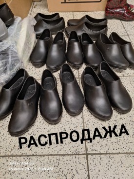 Одежда