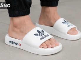 Сланцы