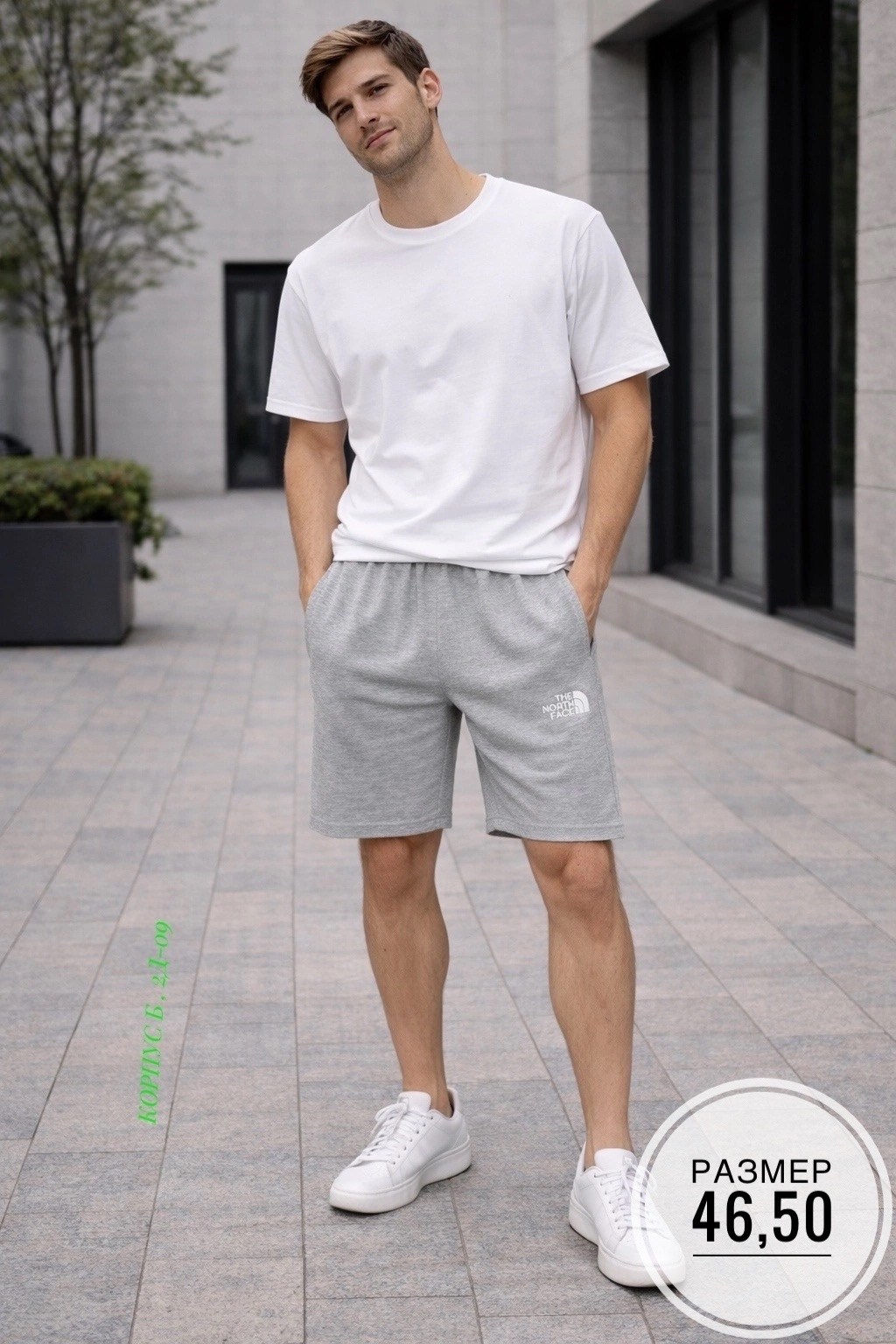 мужские шорты the north face,шорты the north face,мужские шорты the north face standart short light,мужские шорты,мужские спортивные шорты