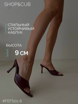 Одежда