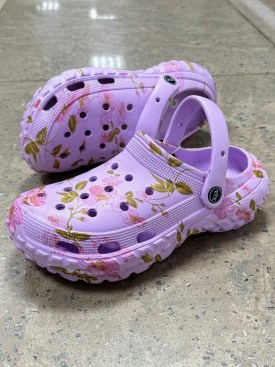 Сланцы
