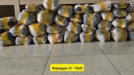 Шорты