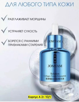 Одежда