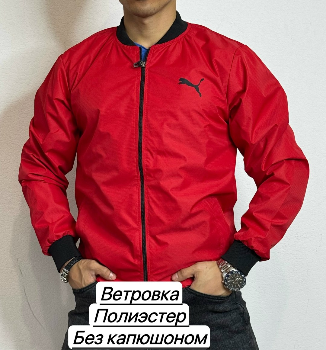 мужская ветровка,ветровка,мужская ветровка puma,демисезонная куртка,повседневная куртка