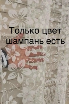 Одежда