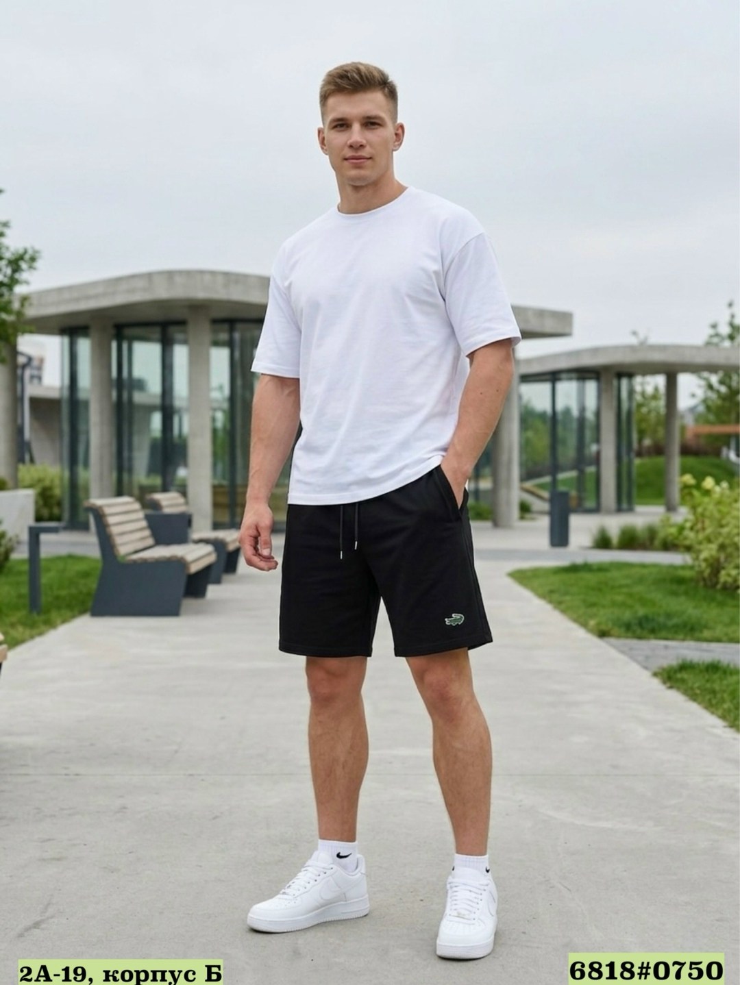 шорты мужские,спортивные шорты,шорты lacoste,мужские спортивные шорты,серые шорты