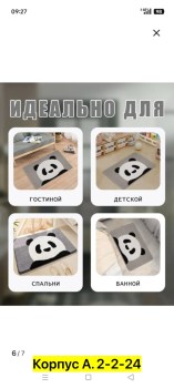 Одежда