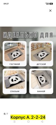 Одежда